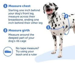 Deluxe Easy Walk® Harness -Best Pet Supplies 5ddcad45596174c9c7e573a09f0c877f5dc036ee 743x647 7d2fb3ad ec67 4d9a b10c 76c263237bbd