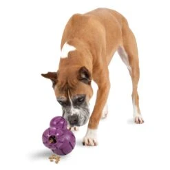 Busy Buddy® Barnacle -Best Pet Supplies Amazon Toys Barnacle Hero L