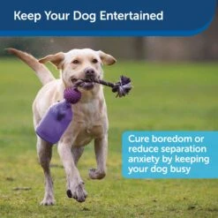 Busy Buddy® Tug-A-Jug™ -Best Pet Supplies Amazon Toys Tug Jug Benefits