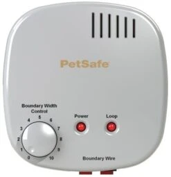 Basic In-Ground Fence Replacement Transmitter