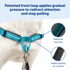 Deluxe Easy Walk® Harness -Best Pet Supplies EWH D HC S APL P02