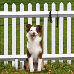 KeepSafe® Collar -Best Pet Supplies KSC P01