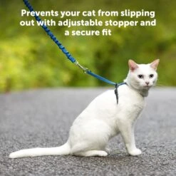 Come With Me Kitty™ Cat Harness & Bungee Leash -Best Pet Supplies P01 b1ff476a 1fc3 49f9 b6eb 4af5c195c8b4