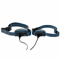 Remote Trainer USB Adaptor -Best Pet Supplies PAC00 16357 P03