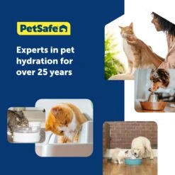 Ion-X™ Pet Fountain Filters, 4-Pack -Best Pet Supplies PAC00 17260 P05
