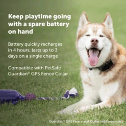 Guardian® GPS Fence Collar Battery For Guardian GPS Connected Customizable Dog Fence 10 Guardian® GPS Fence Collar Battery For Guardian GPS Connected Customizable Dog Fence -Best Pet Supplies PAC00 17779 P02