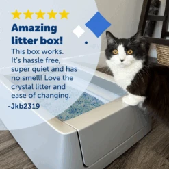 Smart Self-Cleaning Litter Box - ScoopFree® Crystal Smart -Best Pet Supplies PAL00 16807 P04