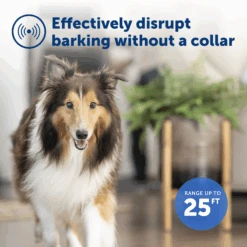Indoor Bark Control 10 Indoor Bark Control -Best Pet Supplies PBC 1000 P02