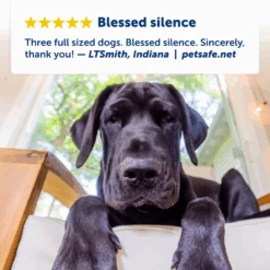 Indoor Bark Control 11 Indoor Bark Control -Best Pet Supplies PBC 1000 P03