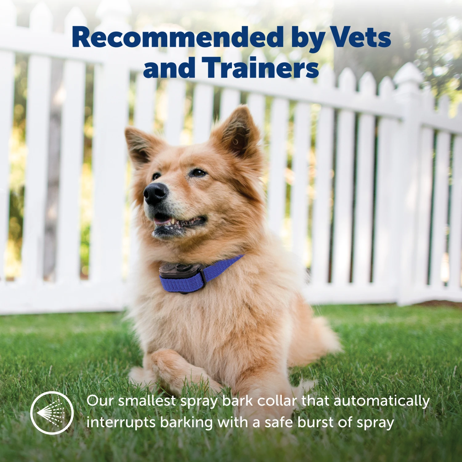 Elite Little Dog Spray Bark Control 4 Elite Little Dog Spray Bark Control - Image 2