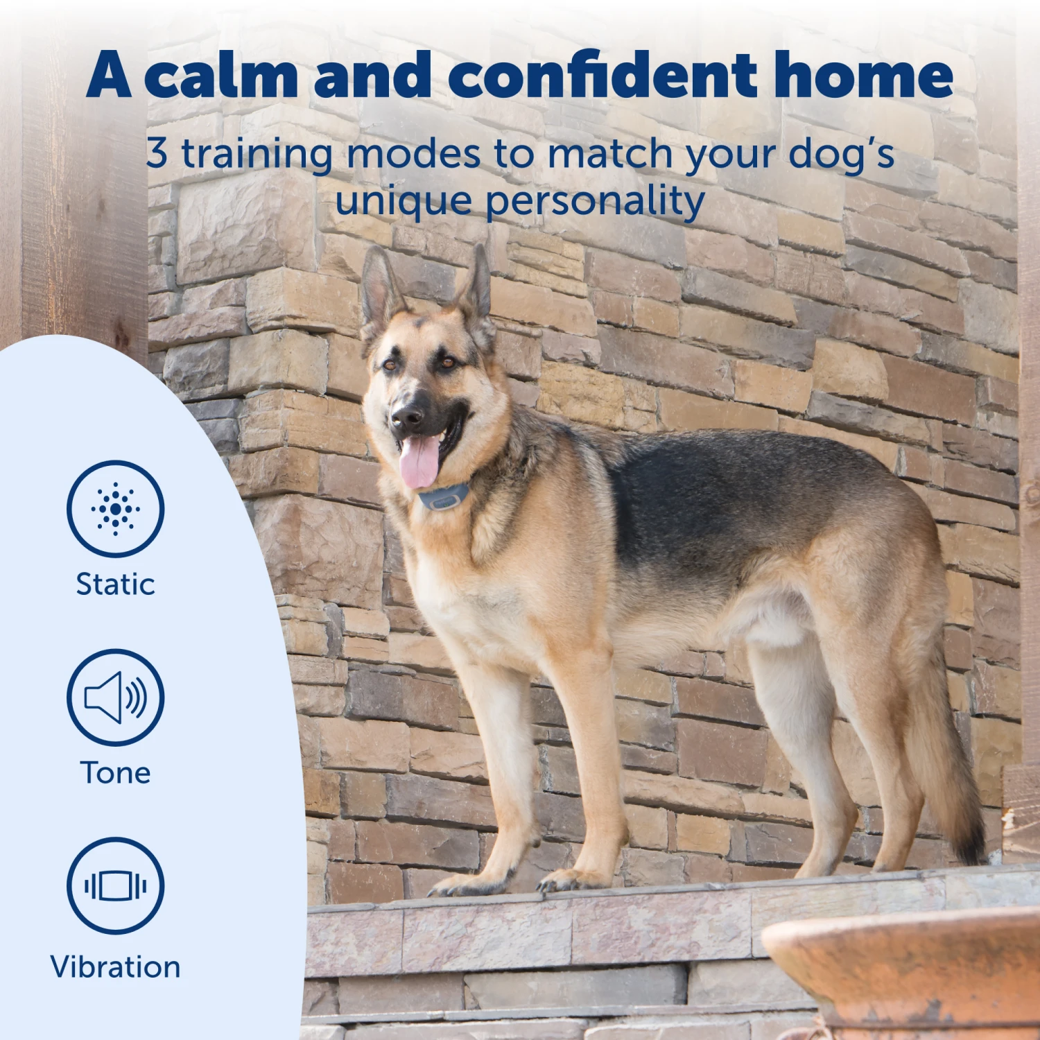 SMART DOG® Trainer 4 SMART DOG® Trainer - Image 2