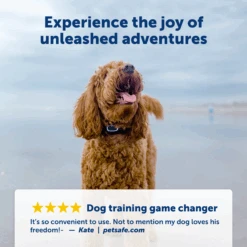 Remote Trainer -Best Pet Supplies PDT00 16126 P03