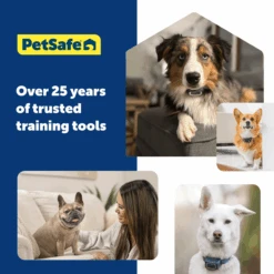 Remote Trainer -Best Pet Supplies PDT00 16126 P05