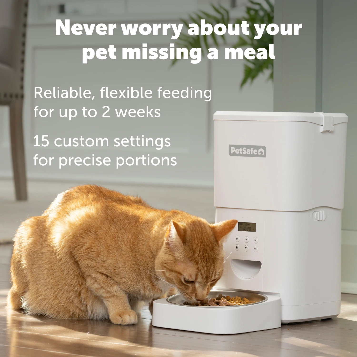 FlexFeed Automatic Pet Feeder 5 FlexFeed Automatic Pet Feeder - Image 3