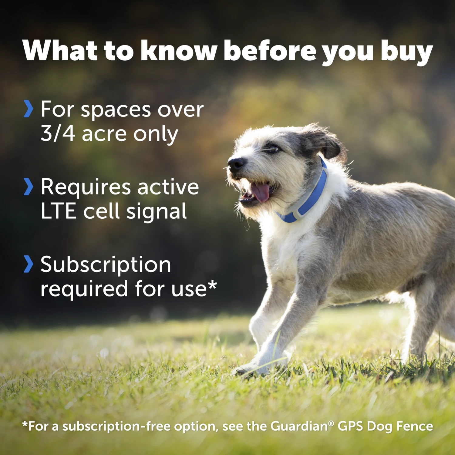 Guardian® GPS + Tracking Dog Fence Collar 5 Guardian® GPS + Tracking Dog Fence Collar - Image 3