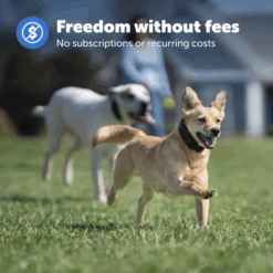 Guardian® GPS Add-A-Dog® Collar 10 Guardian® GPS Add-A-Dog® Collar -Best Pet Supplies PIF00 17934 P02