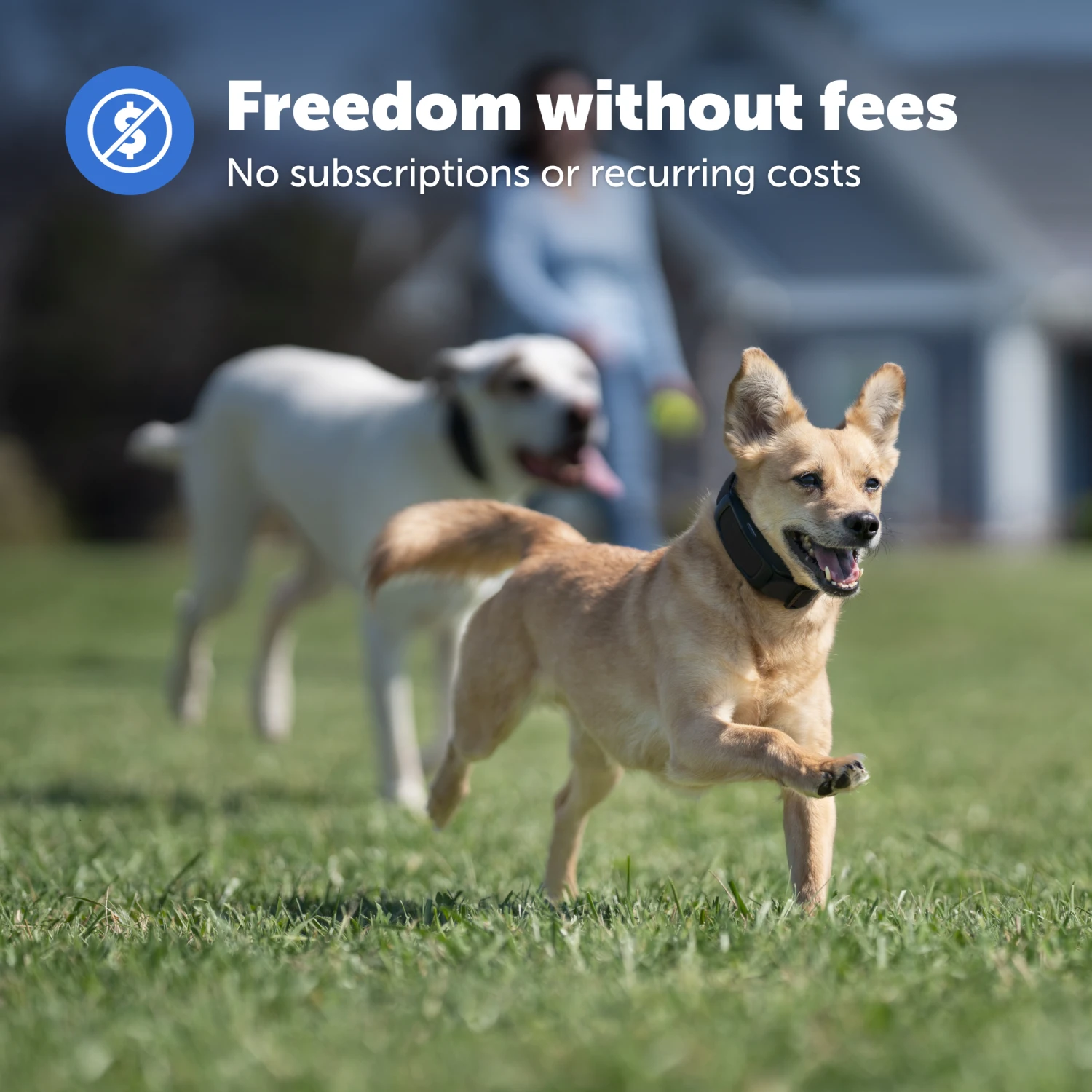 Guardian® GPS Add-A-Dog® Collar 5 Guardian® GPS Add-A-Dog® Collar - Image 3