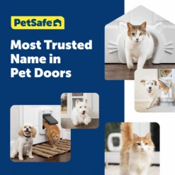Big Cat Door -Best Pet Supplies PPA00 17878 P05
