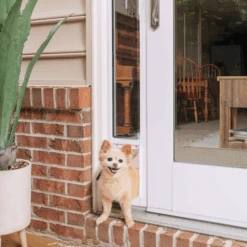 Sliding Glass Pet Door, 2 Piece
