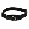 Martingale Collar With Quick Snap Buckle -Best Pet Supplies PQC BLK MAIN