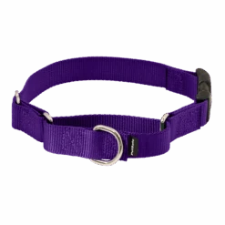 Martingale Collar With Quick Snap Buckle -Best Pet Supplies PQC DPP MAIN