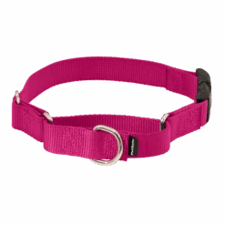 Martingale Collar With Quick Snap Buckle -Best Pet Supplies PQC RAS MAIN