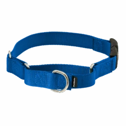 Martingale Collar With Quick Snap Buckle -Best Pet Supplies PQC RYL MAIN
