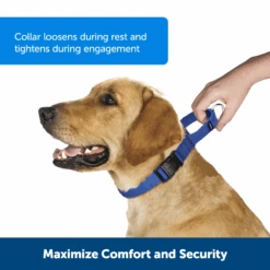 Martingale Collar With Quick Snap Buckle -Best Pet Supplies PQC P01