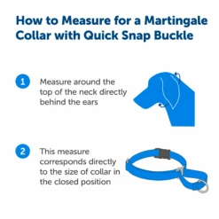Martingale Collar With Quick Snap Buckle -Best Pet Supplies PQC P02