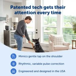 Basic Dog Trainer With Remote -Best Pet Supplies PS AMZ ATF BasicTrainer 3 Patented