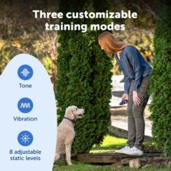 Basic Dog Trainer With Remote -Best Pet Supplies PS AMZ ATF BasicTrainer 4 Customizable