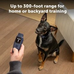 Basic Dog Trainer With Remote -Best Pet Supplies PS AMZ ATF BasicTrainer 7 Range