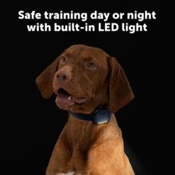 Core Trainer Add-A-Dog® Collar -Best Pet Supplies PS AMZ ATF CoreTrainer 2 Safe 2