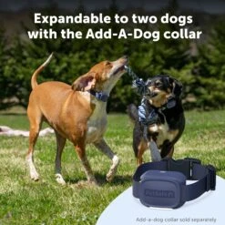 Core Dog Trainer With Remote -Best Pet Supplies PS AMZ ATF CoreTrainer 8 AddADog 1