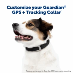 Replacement Strap For Guardian® GPS + Tracking Dog Fence Collar And Guardian® GPS Dog Fence Collar -Best Pet Supplies PS AMZ ATF GPSReplacementStrap 2 Claim Black