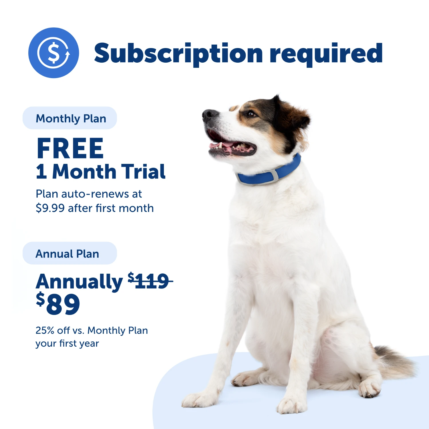 Guardian® GPS + Tracking Dog Fence Collar 7 Guardian® GPS + Tracking Dog Fence Collar - Image 5