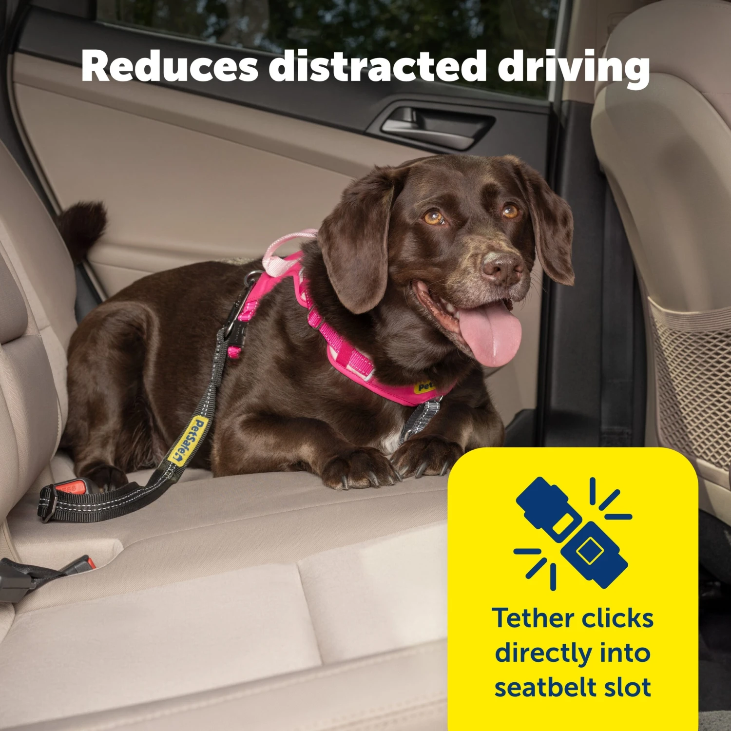 Safety Seatbelt Tether 4 Safety Seatbelt Tether - Image 2