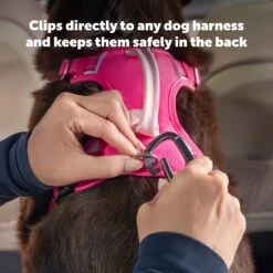 Safety Seatbelt Tether 11 Safety Seatbelt Tether -Best Pet Supplies PS AMZ ATF Seatbelt Tether 4 Description