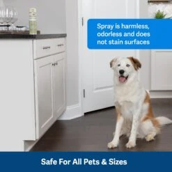 SSSCAT® Replacement Can -Best Pet Supplies PS AmazonATF PPD17 16165 SSSCATSprayRefil 3Safe