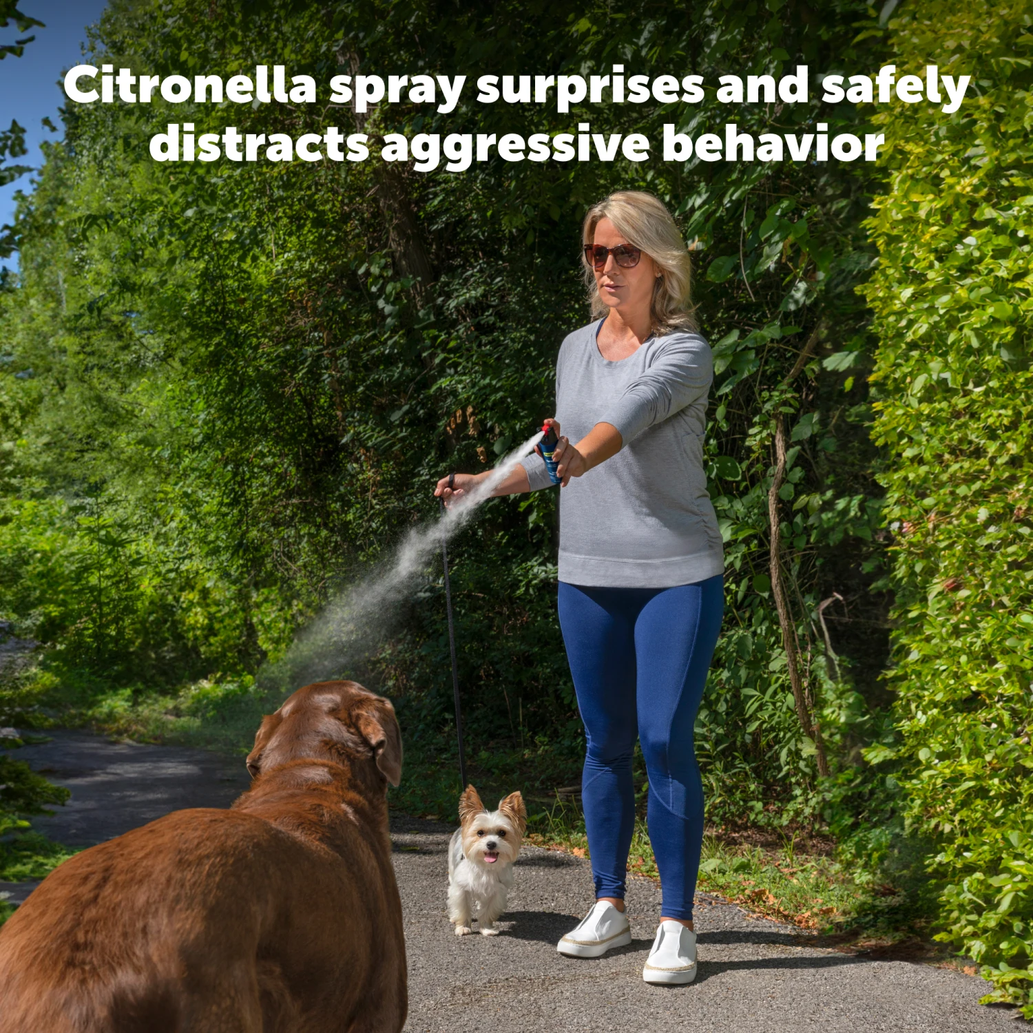 SprayShield® Animal Deterrent Spray 6 SprayShield® Animal Deterrent Spray - Image 4
