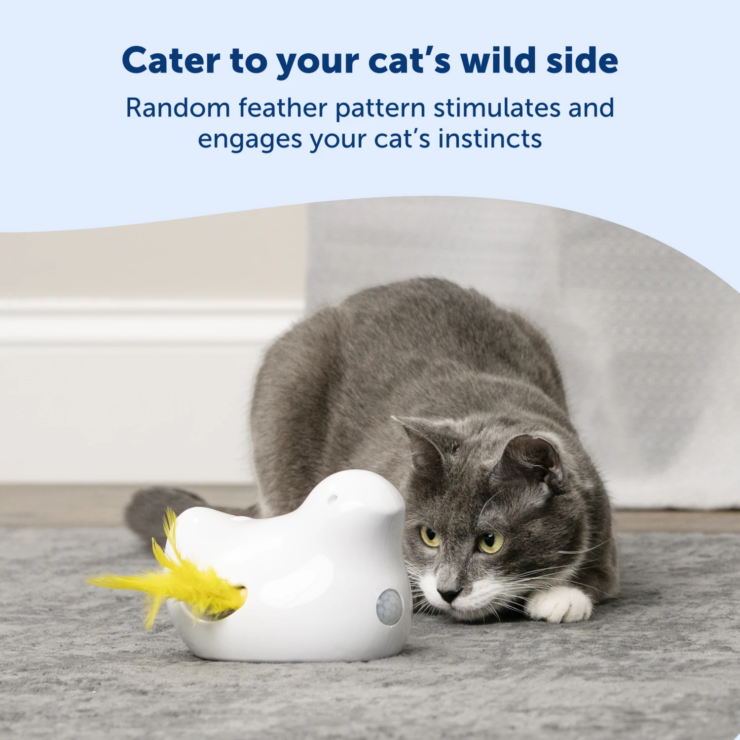 Peek-a-Bird™ Electronic Cat Toy 4 Peek-a-Bird™ Electronic Cat Toy - Image 2
