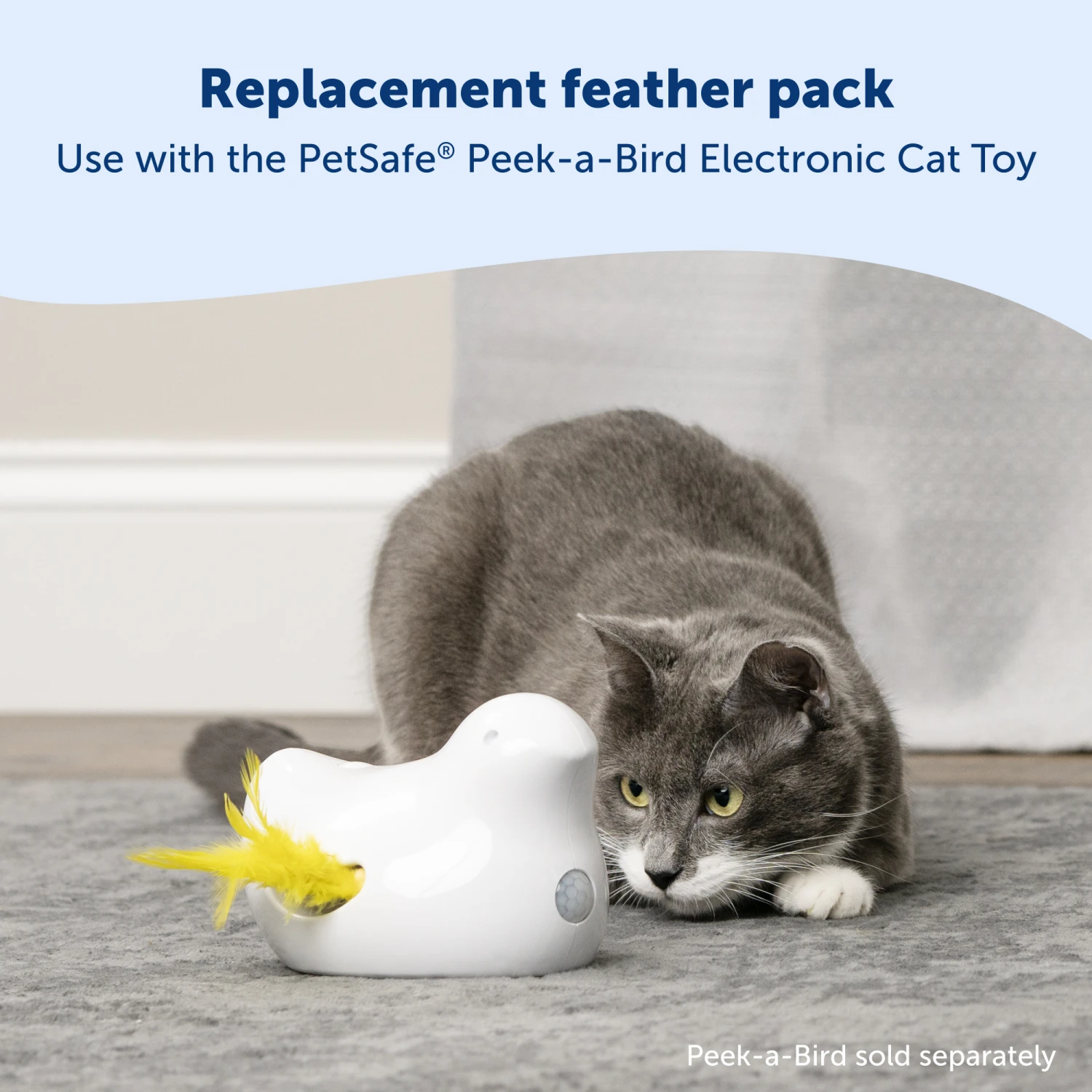 Peek-A-Bird™ Cat Toy Replacement Feathers 4 Peek-A-Bird™ Cat Toy Replacement Feathers - Image 2