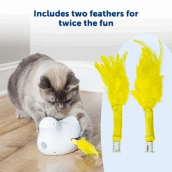 Peek-A-Bird™ Cat Toy Replacement Feathers 10 Peek-A-Bird™ Cat Toy Replacement Feathers -Best Pet Supplies PTY00 17363 P02