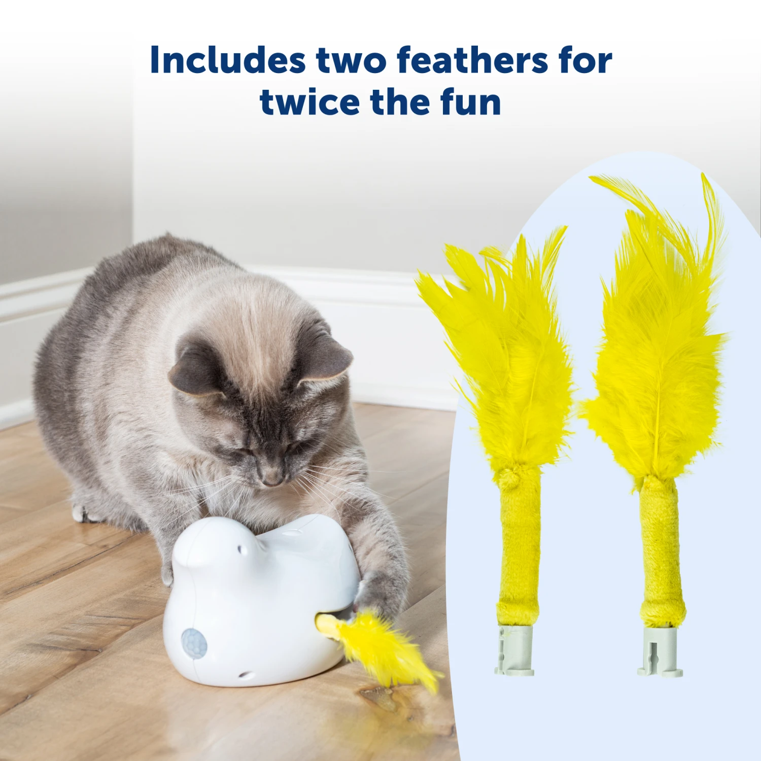 Peek-A-Bird™ Cat Toy Replacement Feathers 5 Peek-A-Bird™ Cat Toy Replacement Feathers - Image 3