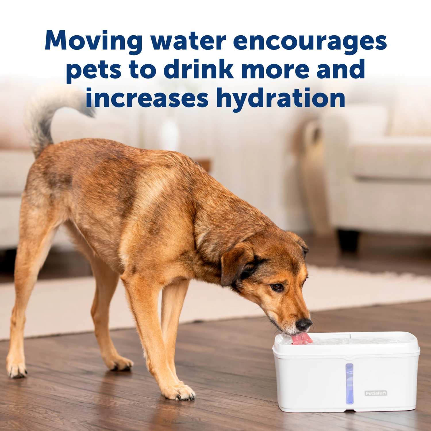 Viva™ 140 Oz Pet Fountain 4 Viva™ 140 Oz Pet Fountain - Image 2