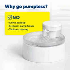 Outlast™ Dog Fountain, 128 Oz -Best Pet Supplies PWW00 17959 P02