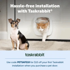 Electronic Pet Door -Best Pet Supplies Taskrabbit 4 1 4