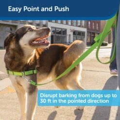 Collarless Ultrasonic Remote Trainer -Best Pet Supplies bburjc9y9blpfvbvkfrz 66cd42b6 c9ad 49b7 bd61 520530f30a8c