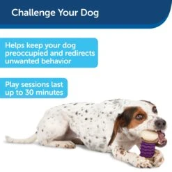 Busy Buddy® Nobbly Nubbly™ 15 Busy Buddy® Nobbly Nubbly™ -Best Pet Supplies bd62b6znq2dggbxru9xl 5cc99348 ea8d 4e9b a5d1 a29011903b69