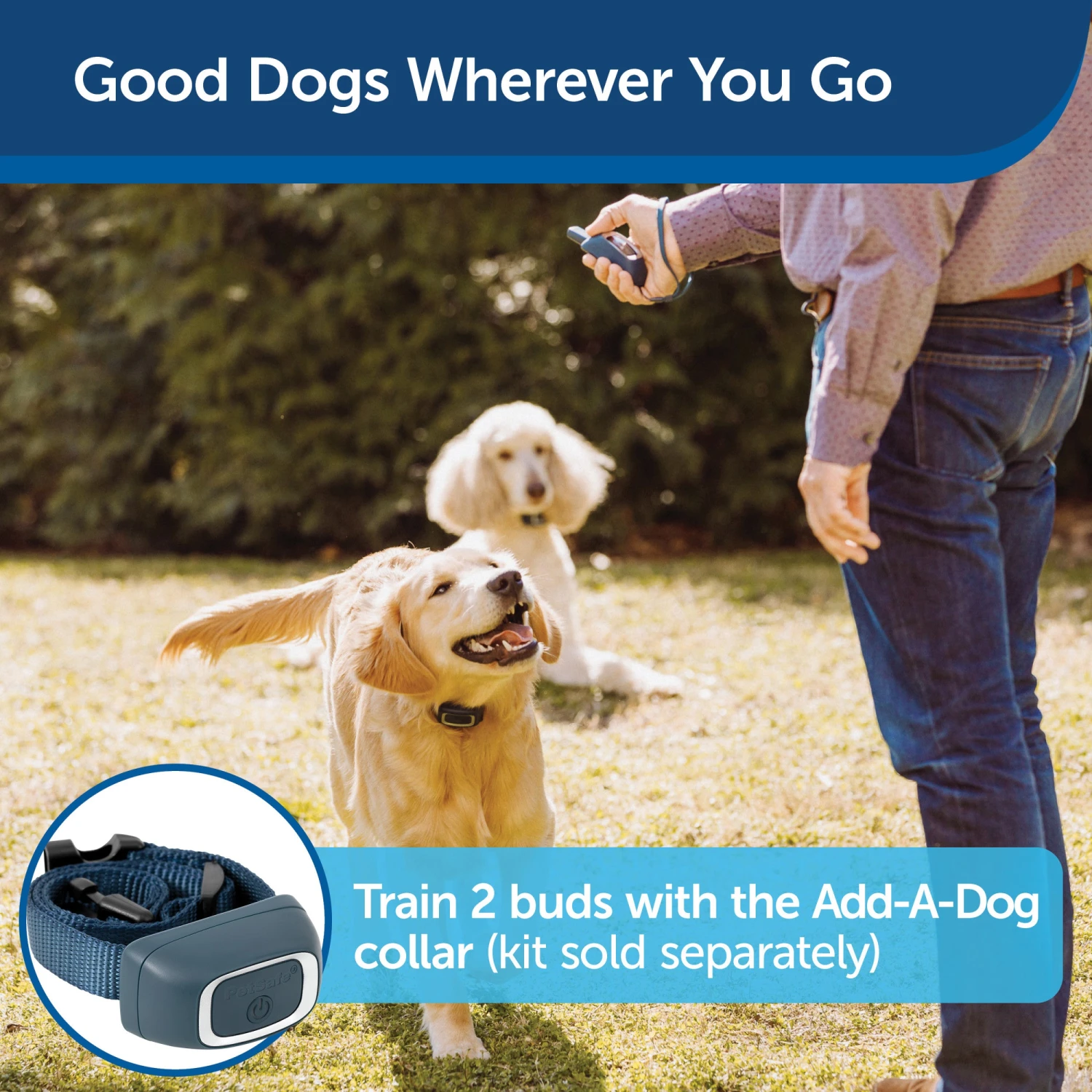 Remote Trainer Add-A-Dog Collar 3 Remote Trainer Add-A-Dog Collar